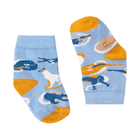 Skarpetki Egipt Koty, rozm. 26-30 / FAVES Socks&Friends