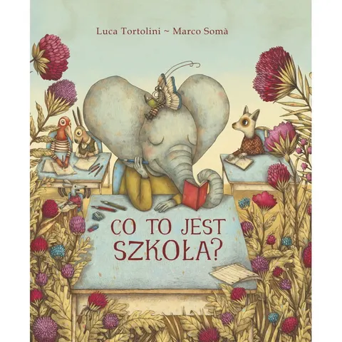 Co to jest szkoła? /TAKO