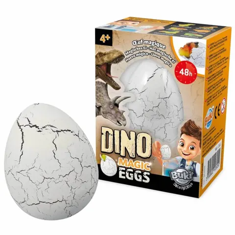 Magiczne jajko dinozaura, Buki