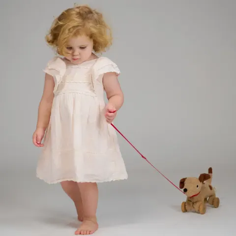 Piesek na kółkach do ciągnięcia - Dudley / ThreadBear Design