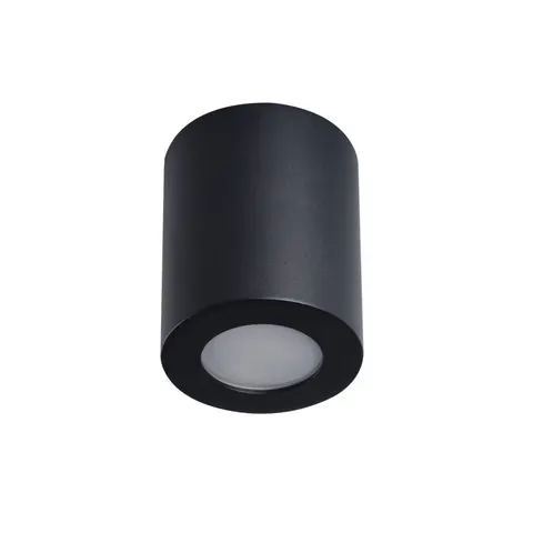 Sufitowa oprawa punktowa SANI IP44 DSO-B