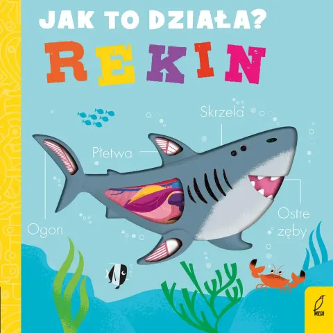 Jak to działa? REKIN / Wydawnictwo Wilga