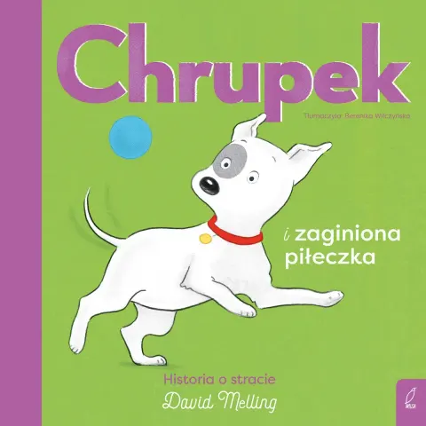 Chrupek i zaginiona piłeczka / Wydawnictwo Wilga