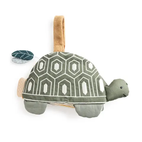Książeczka aktywizująca - Turbo the turtle / Sebra