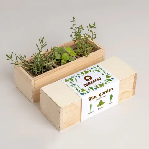 Mini ogród - Mediterranean / Resetea