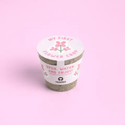Mini doniczka - Kwiaty / Resetea