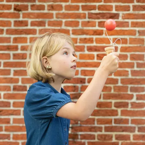 BS Toys, Kendama gra zręcznościowa lody