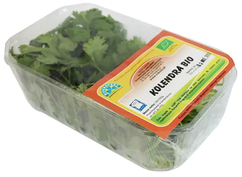 KOLENDRA ŚWIEŻA BIO (POLSKA) (około 50 g)