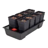 WILMA SMALL WIDE 8, KOMPLETNY SYSTEM HYDROPONICZNY, 8xDONICA 11L, 120x60xh22cm / 85L
