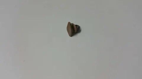 Spinka mocowania uszczelki
