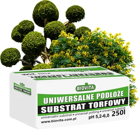 Substrat torfowy z absorbentem 0-20mm pH 5,5-6,5 250L BIOVITA