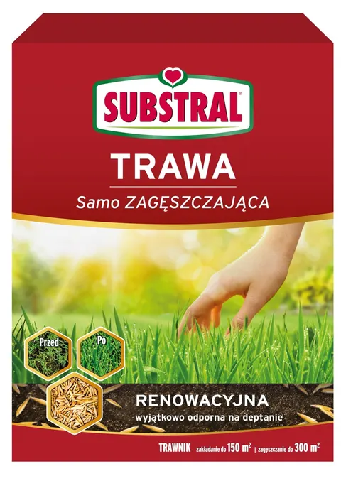 Trawa renowacyjna 3kg samo zagęszczająca SUBSTRAL odporna na deptanie, gęsty trawnik na lata, naprawia ubytki, intensywna zieleń
