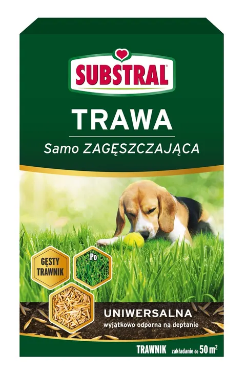 Trawa Uniwersalna 1kg samo zagęszczająca Substral odporna na deptanie, gęsty trawnik na lata, naprawia ubytki