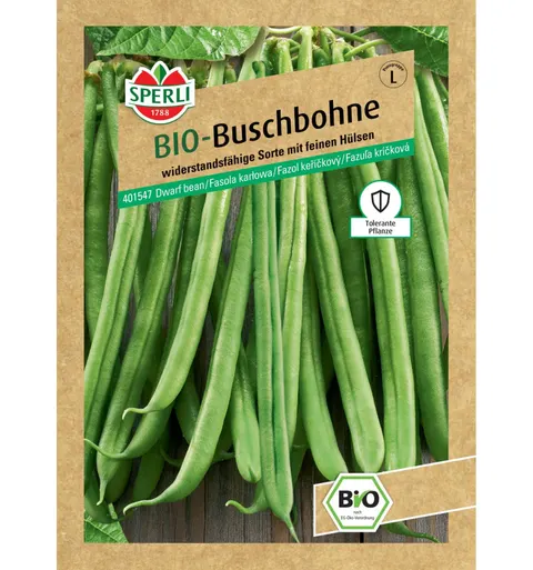 BIO fasola karłowa 'Domino' Nasiona PREMIUM Sperli
