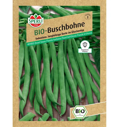 BIO fasola karłowa 'Maxi' Nasiona PREMIUM Sperli