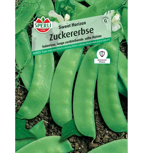 Groch cukrowy 'Sweet Horizon' Nasiona PREMIUM Sperli