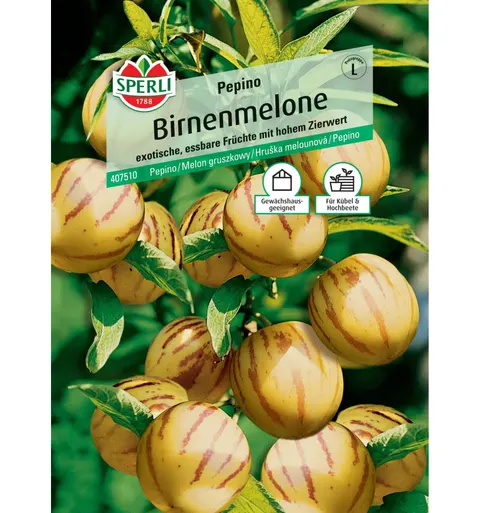 Melon gruszkowy 'Pepino' Nasiona PREMIUM Sperli