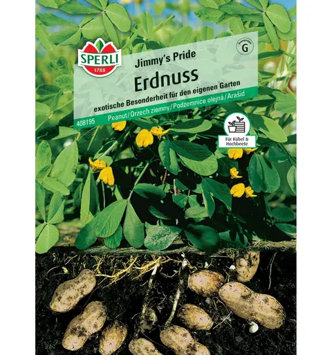 Orzech ziemny 'Jimmy's Pride' Nasiona PREMIUM Sperli