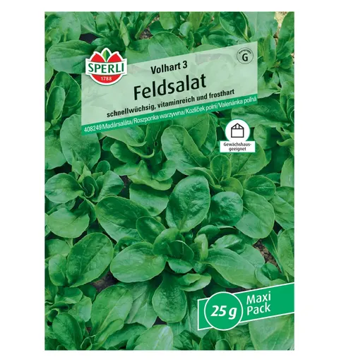 Roszponka warzywna 'Volhart 3' Nasiona PREMIUM Sperli