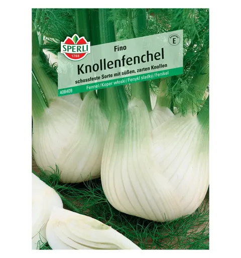 Koper włoski 'Fino' Nasiona PREMIUM Sperli