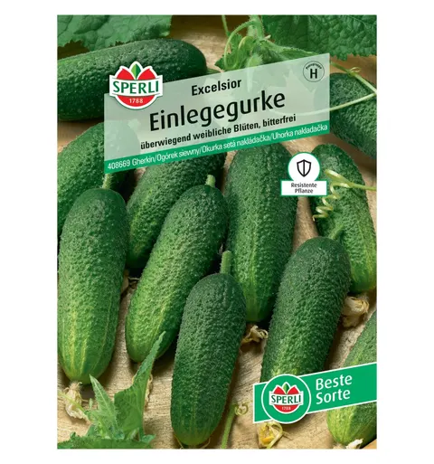 Ogórek siewny 'Excelsior' Nasiona PREMIUM Sperli