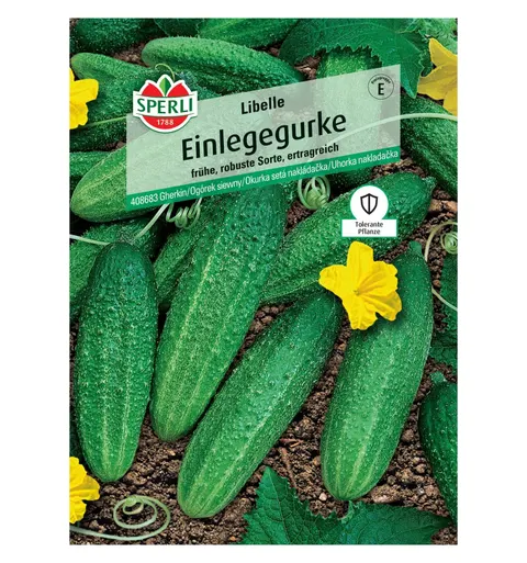 Ogórek siewny 'Libelle' Nasiona PREMIUM Sperli