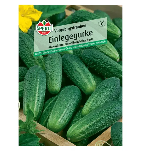 Ogórek siewny 'Vorgebirgstrauben' Nasiona PREMIUM Sperli