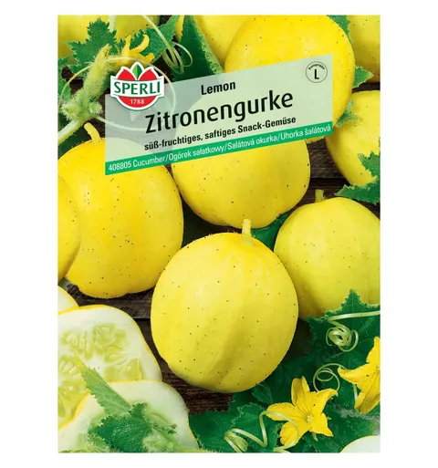Ogórek sałatkowy 'Lemon' Nasiona PREMIUM Sperli