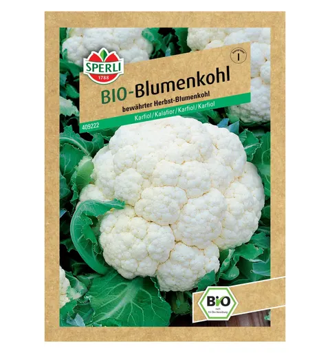 BIO kalafior 'Flora Blanca' Nasiona PREMIUM Sperli