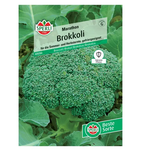 Brokuł 'Marathon' Nasiona PREMIUM Sperli