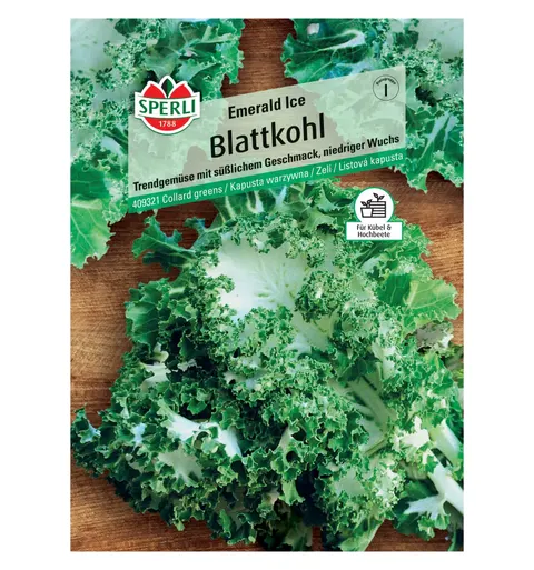 Kapusta warzywna 'Emerald Ice' Nasiona PREMIUM Sperli