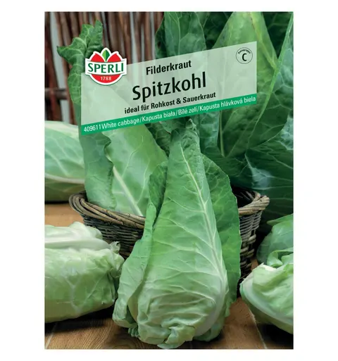 Kapusta biała 'Filderkraut' Nasiona PREMIUM Sperli