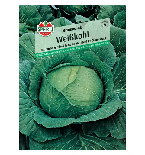 Kapusta biała 'Brunswick' Nasiona PREMIUM Sperli