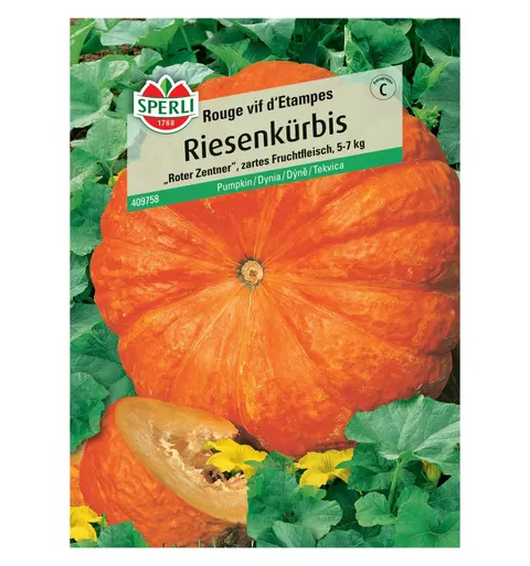 Dynia 'Rouge vif d'Etampes' Nasiona PREMIUM Sperli