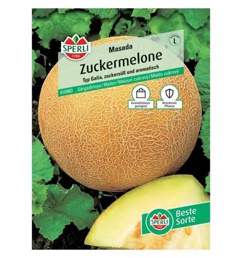 Melon 'Masada' Nasiona PREMIUM Sperli