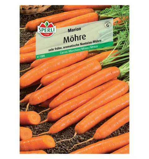 Marchew 'Marion' Nasiona PREMIUM Sperli