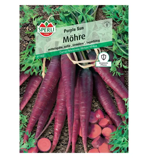 Marchew 'Purple Sun' Nasiona PREMIUM Sperli