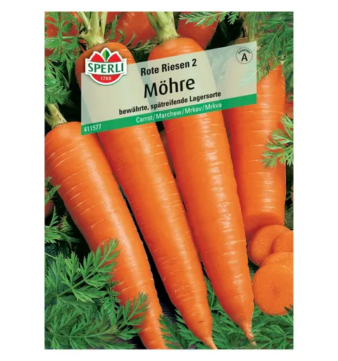 Marchew 'Rote Riesen 2' Nasiona PREMIUM Sperli