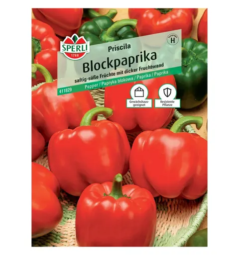 Papryka blokowa 'Priscila' Nasiona PREMIUM Sperli
