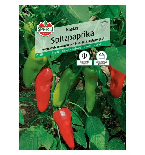 Papryka blokowa 'Kostas' Nasiona PREMIUM Sperli