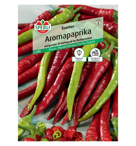 Papryka blokowa 'Sumher' Nasiona PREMIUM Sperli