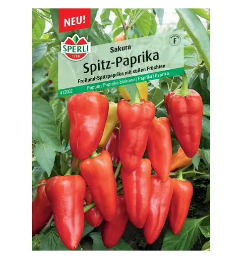 Papryka blokowa 'Sakura' Nasiona PREMIUM Sperli