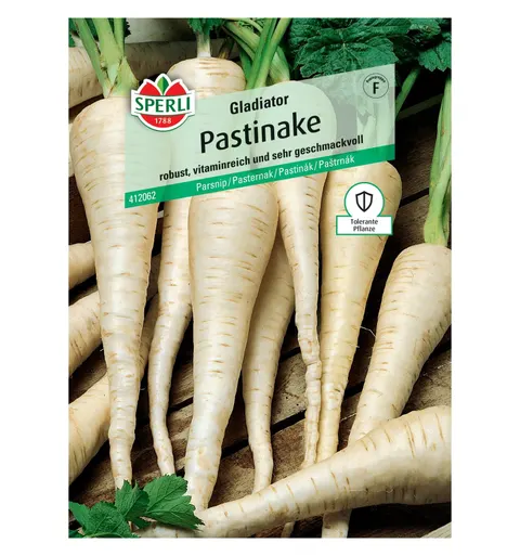Pasternak 'Gladiator' Nasiona PREMIUM Sperli