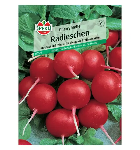 Rzodkiewka 'Cherry Belle' Nasiona PREMIUM Sperli