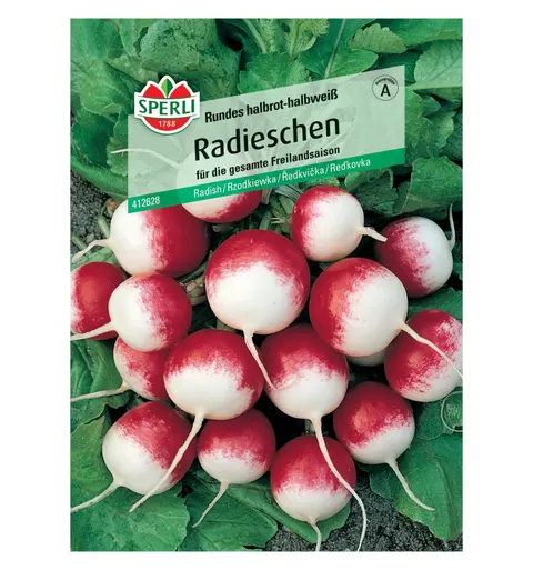 Rzodkiewka 'Rundes halbrot-halbweiß' Nasiona PREMIUM Sperli
