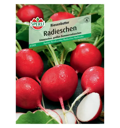 Rzodkiewka 'Riesenbutter' Nasiona PREMIUM Sperli