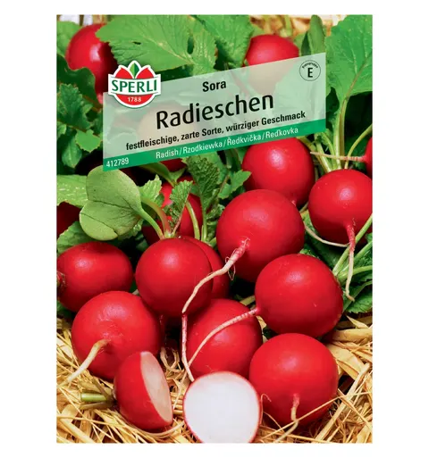 Rzodkiewka 'Sora' Nasiona PREMIUM Sperli