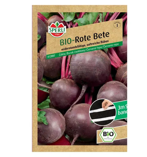 BIO burak ćwikłowy 'Rote Kugel 2/Sturoman' Nasiona PREMIUM Sperli