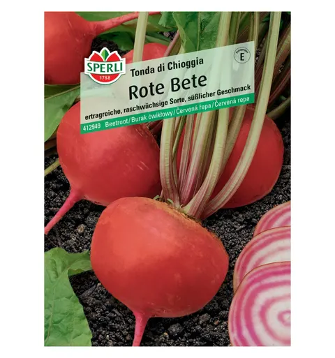 Burak ćwikłowy 'Tonda di Chioggia' Nasiona PREMIUM Sperli