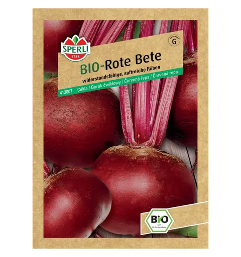 BIO burak ćwikłowy 'Rote Kugel 2/Sturoman' Nasiona PREMIUM Sperli